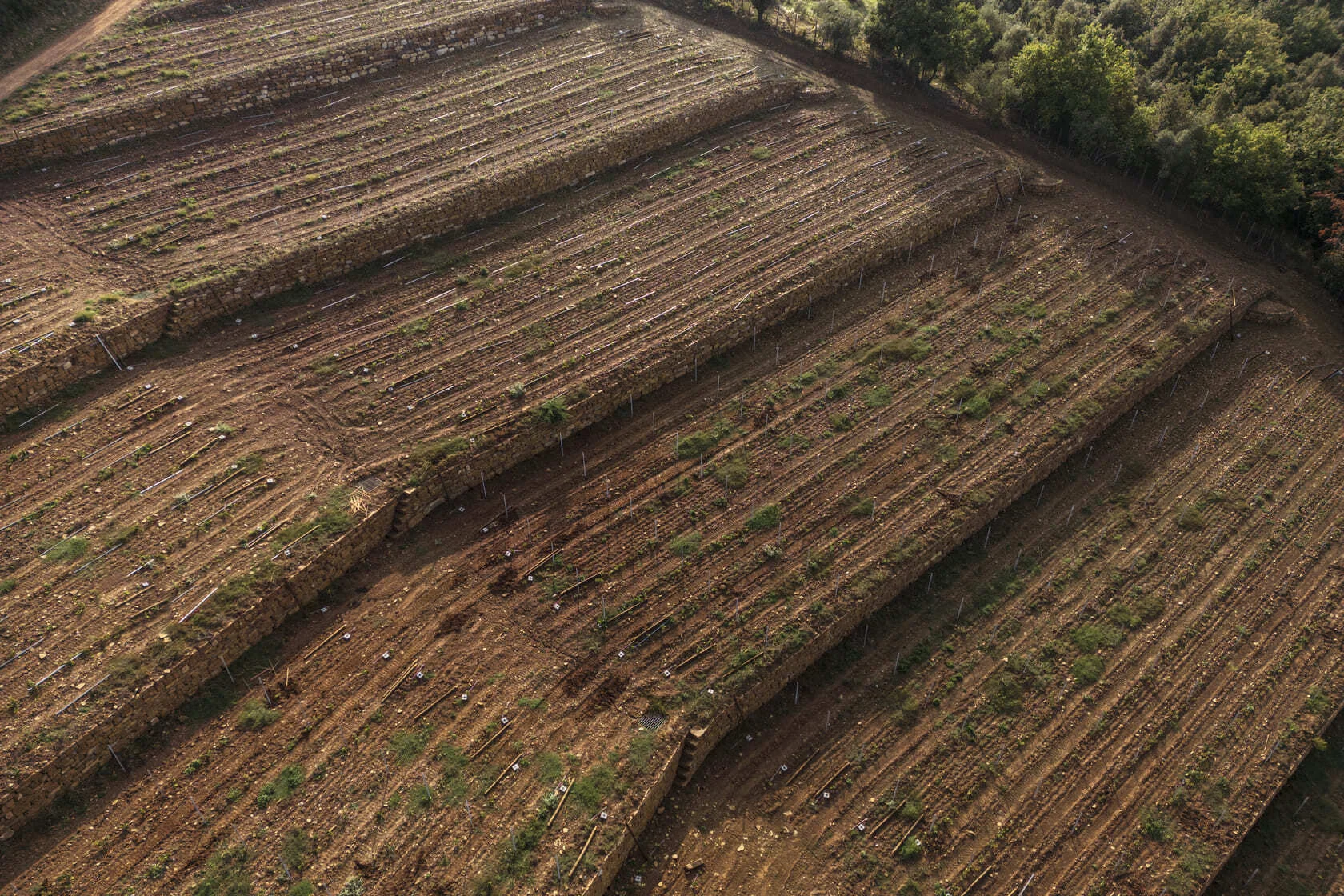 Village of Chianti Classico Isole e Olena
