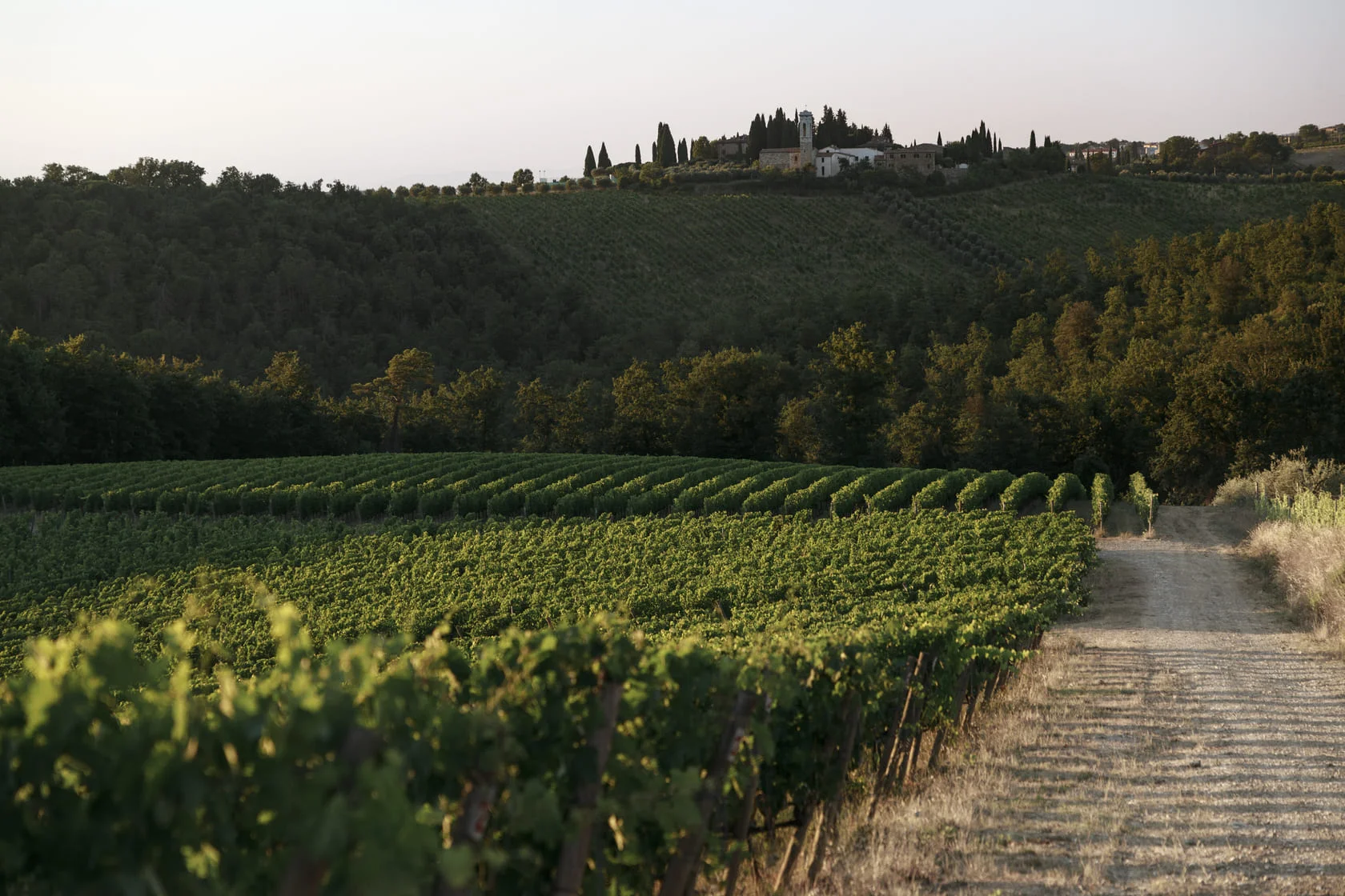 Village and Vineyard of Chianti Classico Isole e Olena