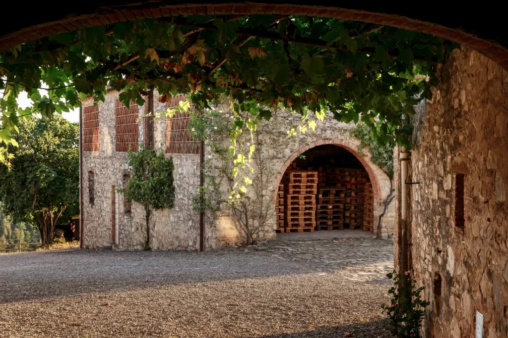 Borgo Isole e Olena
