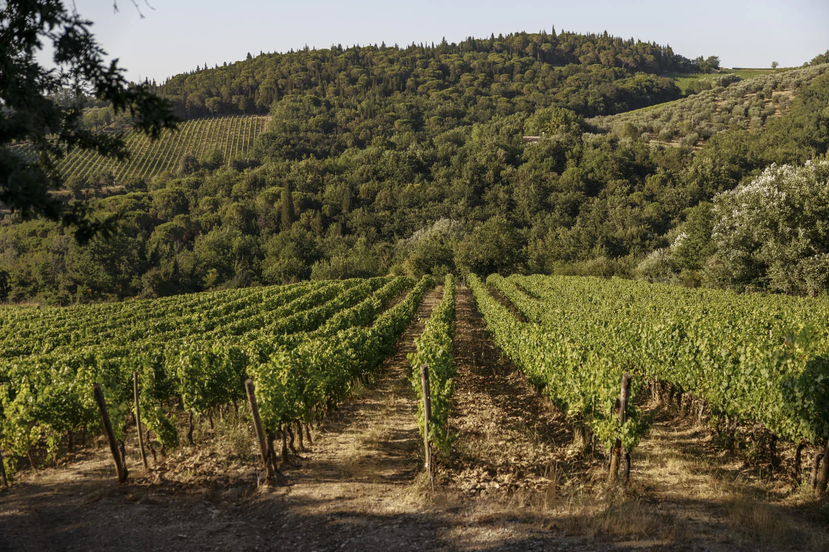 Village of Chianti Classico Isole e Olena