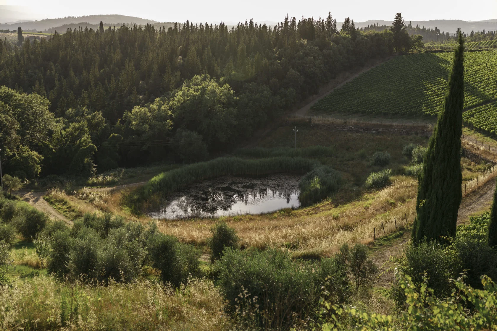 Village of Chianti Classico Isole e Olena
